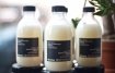 Shampoo for the sheer beauty of the hair Davines