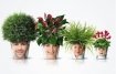 Rolland Italian hair care products