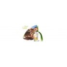 Sun Care - Aloe Vera Sun Protection Sun Care - Aloe Vera Sun Protection