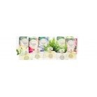 Perfumes Perfumes