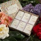 Flower notes - Note Floreale Flower notes - Note Floreale