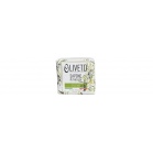 Oliveto - Olive Grove Oliveto - Olive Grove