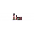 Morocco Argan Oil Morocco Argan Oil