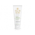 Yellow Rose Маска с хлорофиллом Masque Chlorophylle 250мл Yellow Rose Маска с хлорофиллом Masque Chlorophylle 250мл