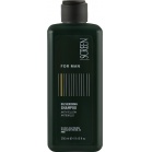 Screen Professional Мужской шампунь с антижелтым эффектом For Man Silverising Shampoo 250мл