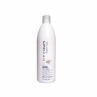 Shampoo with argan oil for colored hair Inebrya - Argan Oil Pro Age Shampoo Dry Shampoo with argan oil for colored hair Inebrya - Argan Oil Pro Age Shampoo Dry