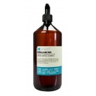 Insight Cosmetics Shampoo against oily scalp Rebalancing Shampoo 900ml Insight Cosmetics Shampoo against oily scalp Rebalancing Shampoo 900ml