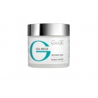 Gigi cosmetics Лечебная маска Sea Weed Treatment Mask 260мл Gigi cosmetics Лечебная маска Sea Weed Treatment Mask 260мл