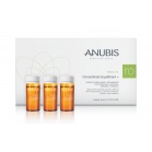Anubis Barcelona Подсушивающий балансирующий концентрат + Regul Oil Concentrate Equilibrant + 5мл