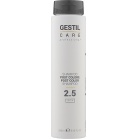 Gestil Shampoo for colored hair Care Professional Post Color Shampoo 2.5 250ml Gestil Shampoo for colored hair Care Professional Post Color Shampoo 2.5 250ml