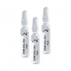CNC Cosmetic Fluid based on apple stem cells Stem Cell DNA Fluid 10x2ml