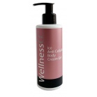 Wellness GC Anti-cellulite ice cream body gel Ice Anti Cellulite Body Cream Gel 200ml
