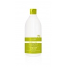 Team 155 Shampoo against dandruff and oily scalp Puryfing 71 Shampoo 1000ml