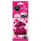 Aroma Car Flavor Fresh Bag Bubble Gum 