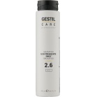 Gestil Toning shampoo for hair and body during daily sports Care Professional Daily Shampoo 2.6 250ml
