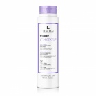 Lendan Шампунь для волос Фиолетовый заряд Violet Charge Shampoo 300мл Lendan Шампунь для волос Фиолетовый заряд Violet Charge Shampoo 300мл