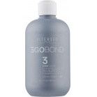 Alter Ego Запечатувальний догляд Фаза 3 Egobond Bond Locker 250 мл Alter Ego Запечатувальний догляд Фаза 3 Egobond Bond Locker 250 мл