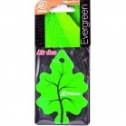 Paloma Fragrance Gold Evergreen pendant 