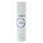 Gigi cosmetics Мыло для жирной и комбинированной кожи Aroma Essence Soap For Oily & Combination Skin 250мл
