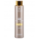 Hair Company professional Маска для придания блеска волосам Inimitable Style Illuminating Mask 1000мл