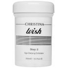 Christina Anti-aging exfoliator Wish Age-Defying Exfoliator 250ml Christina Anti-aging exfoliator Wish Age-Defying Exfoliator 250ml