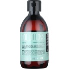 IdHair Шампунь №1 для нормальної та жирної шкіри голови Solutions № 1 Shampoo for Normal or Greasy Scalp 300 мл IdHair Шампунь №1 для нормальної та жирної шкіри голови Solutions № 1 Shampoo for Normal or Greasy Scalp 300 мл