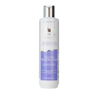 Young Anti-yellowing conditioner Y-Blond+ Illuminating Antigiallo Antirottura Conditioner 250ml Young Anti-yellowing conditioner Y-Blond+ Illuminating Antigiallo Antirottura Conditioner 250ml