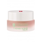 Erborian Gentle lip scrub for 7 herbs Herbs Scrub For Lips 7ml Erborian Gentle lip scrub for 7 herbs Herbs Scrub For Lips 7ml