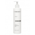 Christina Gentle Cleansing Milk Wish Gentle Cleansing Milk 300ml Christina Gentle Cleansing Milk Wish Gentle Cleansing Milk 300ml