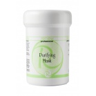 Renew Pore-tightening and purifying mask Purifying Mask 250ml