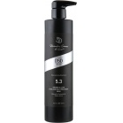 DSD de Luxe (Divination Simone DeLuxe) Восстанавливающая маска Сталь и шелк Steel and Silk Treatment Mask 500мл DSD de Luxe (Divination Simone DeLuxe) Восстанавливающая маска Сталь и шелк Steel and Silk Treatment Mask 500мл