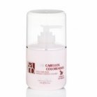 Coloreados Dyed Hair Mask - Mask for colored hair