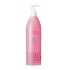 Erba Classico Шампунь для волос с экстрактом розового дерева Classico Losewood Hair Shampoo 1000мл