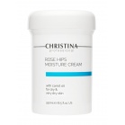 Christina Увлажняющий крем с маслом моркови для сухой и очень сухой кожи Rose Hips Moisture Cream with Carrot Oil for dry and very dry skin 250мл