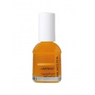 Dr.Belter Nail care oil Intensa Nail Oil 9ml Dr.Belter Nail care oil Intensa Nail Oil 9ml