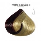 Ducastel Subtil Meches paint for coloring strands - blackberries for blondes
