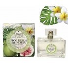 Nesti Dante Perfume Fico della Signoria №1 Parfum Fico della Signoria 100ml Nesti Dante Perfume Fico della Signoria №1 Parfum Fico della Signoria 100ml