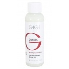Gigi cosmetics Питательная сыворотка Quadro Multy-Application Lipo Nourishing Serum Gel 60мл Gigi cosmetics Питательная сыворотка Quadro Multy-Application Lipo Nourishing Serum Gel 60мл