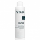 Anubis Barcelona Міцелярна вода Anubis Detox Anti-Pollution Micellar Water 200 мл
