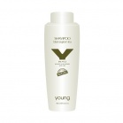 Young Acid shampoo with black and green tea extracts Black & Green Tee Shampoo 300ml