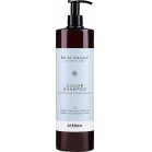 Artego Шампунь для окрашенных волос Rain Dance Color Shampoo 1000мл
