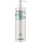 Artego Шампунь для жирных волос Easy Care T Balance Shampoo 1000мл