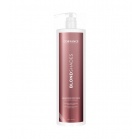 Coiffance Professionnel Шампунь после осветления Blondshades Post Deco Shampoo 1000мл Coiffance Professionnel Шампунь после осветления Blondshades Post Deco Shampoo 1000мл