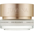 Juvena Разглаживающий дневной крем для нормальной и сухой кожи Skin Rejuvenate Delining Day Cream Normal To Dry 50 мл, тестер Juvena Разглаживающий дневной крем для нормальной и сухой кожи Skin Rejuvenate Delining Day Cream Normal To Dry 50 мл, тестер