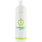 Nouvelle Oxidizing emulsion, activator for tinting hair Activator 7 VOL 1000ml,3.9 % Nouvelle Oxidizing emulsion, activator for tinting hair Activator 7 VOL 1000ml,3.9 %
