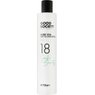 Artego Шампунь для волос Good Society Every You 18 Shampoo 250мл