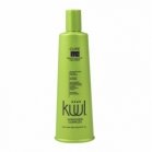 Leave the conditioner for damaged hair - Kuul Cure Me Repair Leave In Traitment Leave the conditioner for damaged hair - Kuul Cure Me Repair Leave In Traitment