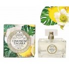 Nesti Dante Perfume Limonum Zagara №5 Parfum Fico della Signoria 100ml Nesti Dante Perfume Limonum Zagara №5 Parfum Fico della Signoria 100ml