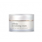 Yellow Rose Крем клітинний відновлює зі стовбуровими клітинами Cellular revitalizing cream 50 мл Yellow Rose Крем клітинний відновлює зі стовбуровими клітинами Cellular revitalizing cream 50 мл