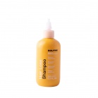 Solfine Shampoo for hair loss Hair Loss Shampoo 250ml Solfine Shampoo for hair loss Hair Loss Shampoo 250ml